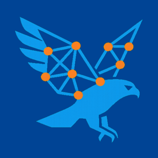 Logo Network Hawk